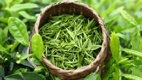 大益東和茶葉網(wǎng)